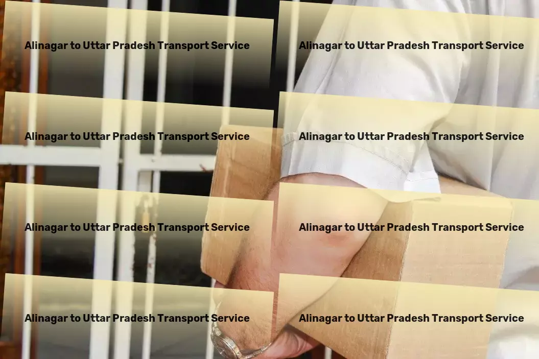 Alinagar to Uttar Pradesh Courier And Parcel Building bridges throughout India's logistic networks. - Express package services